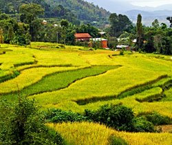 Dhulikhel Hiking
